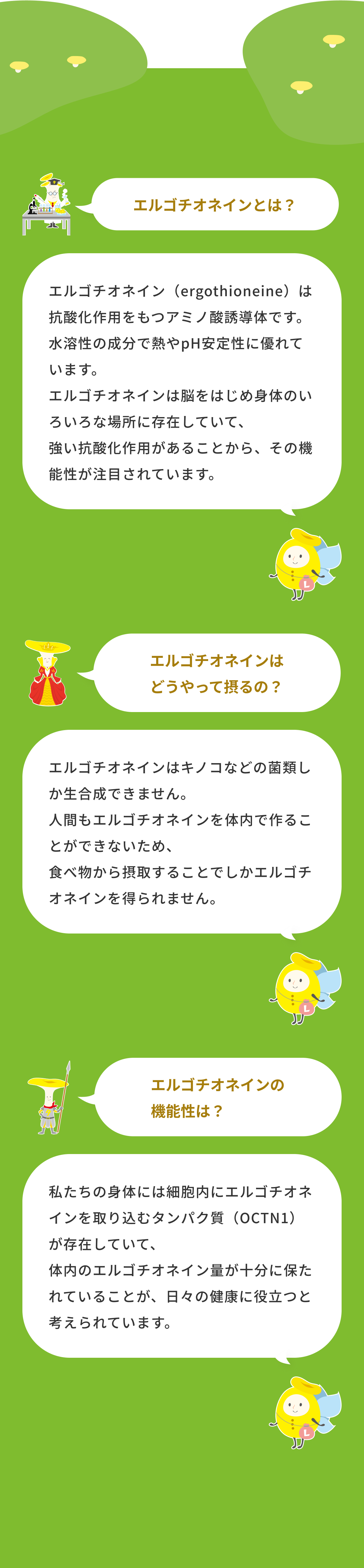活動歴および当時の関連ビジュアル記録
